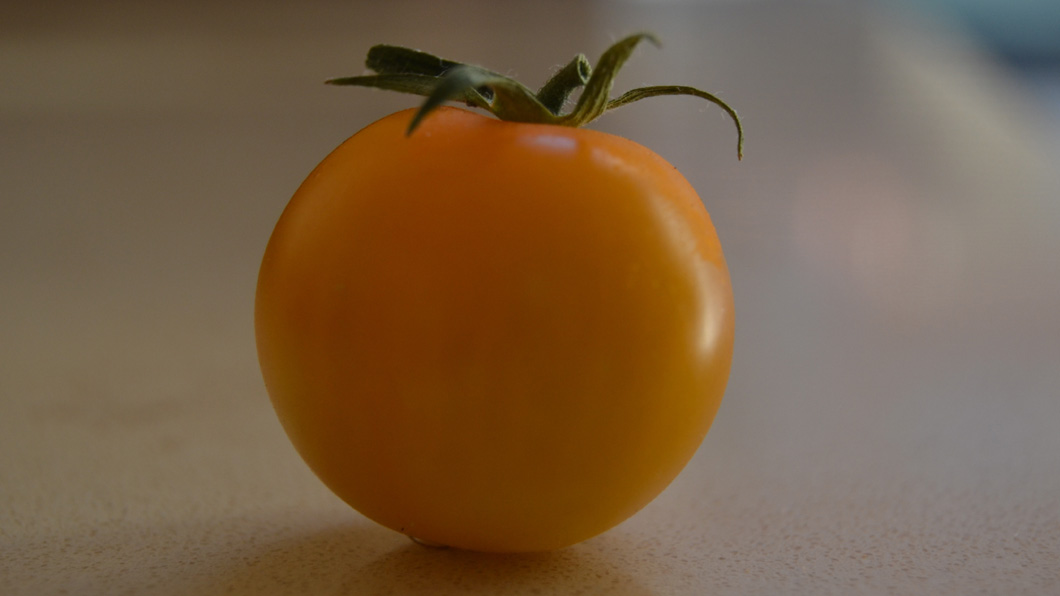 Quel pomodoro velenoso e la forza dei divieti alimentari